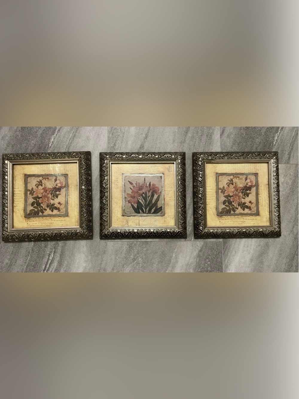 3 Vintage Framed Botanical Print Antique By P.  Murray